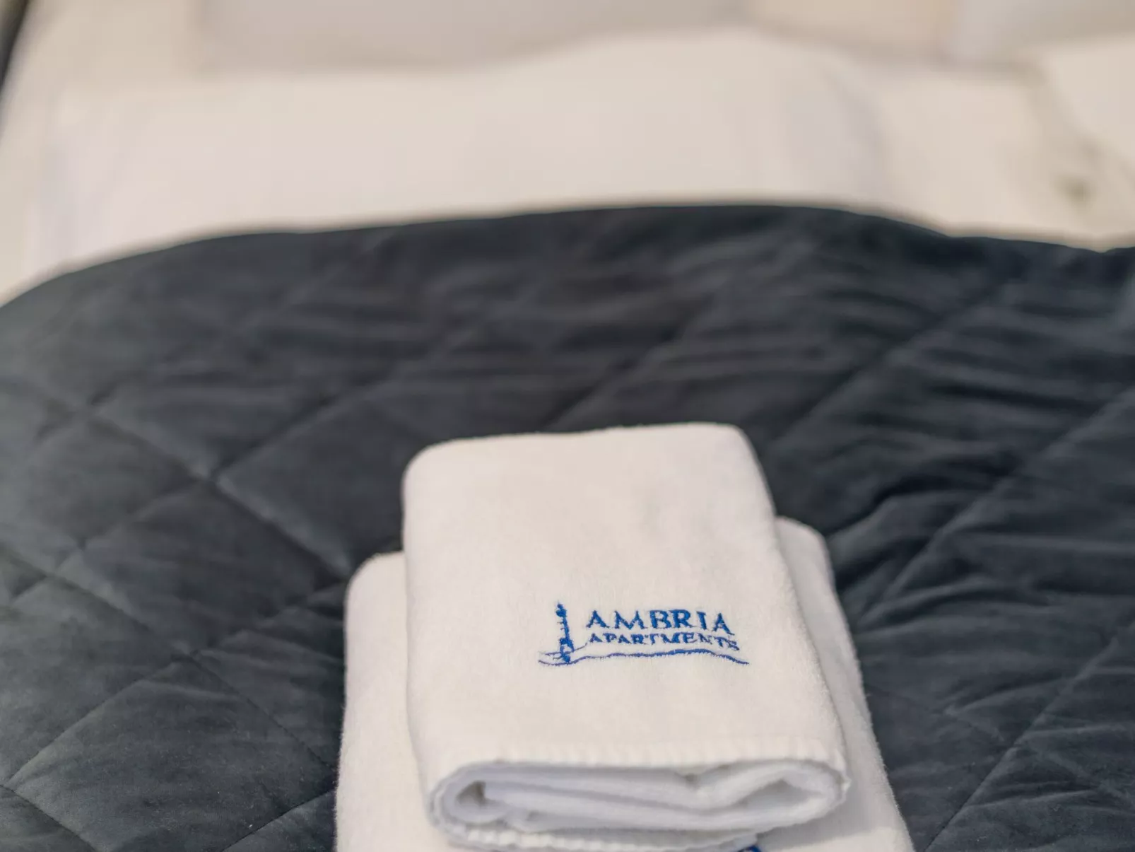 Kormoran in modernem Appartementhaus-Image-tags.info