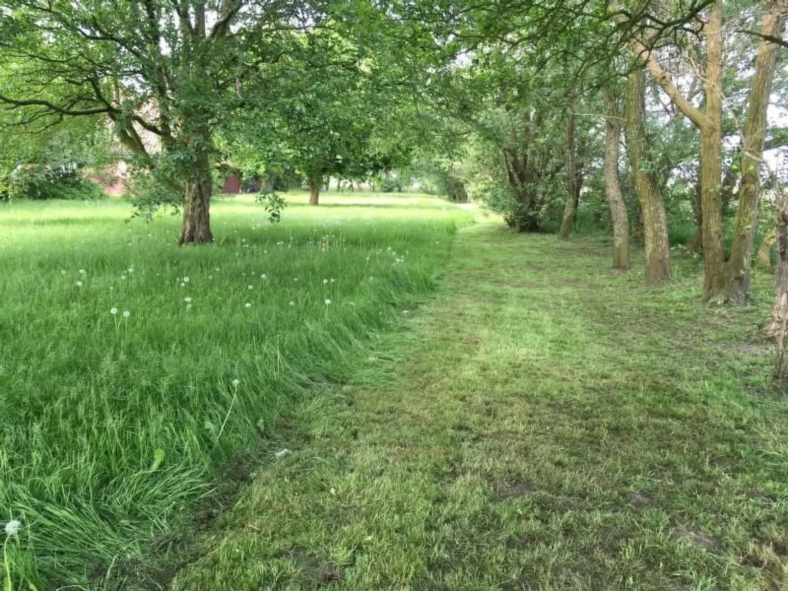 Deichhof Tossens-Buiten