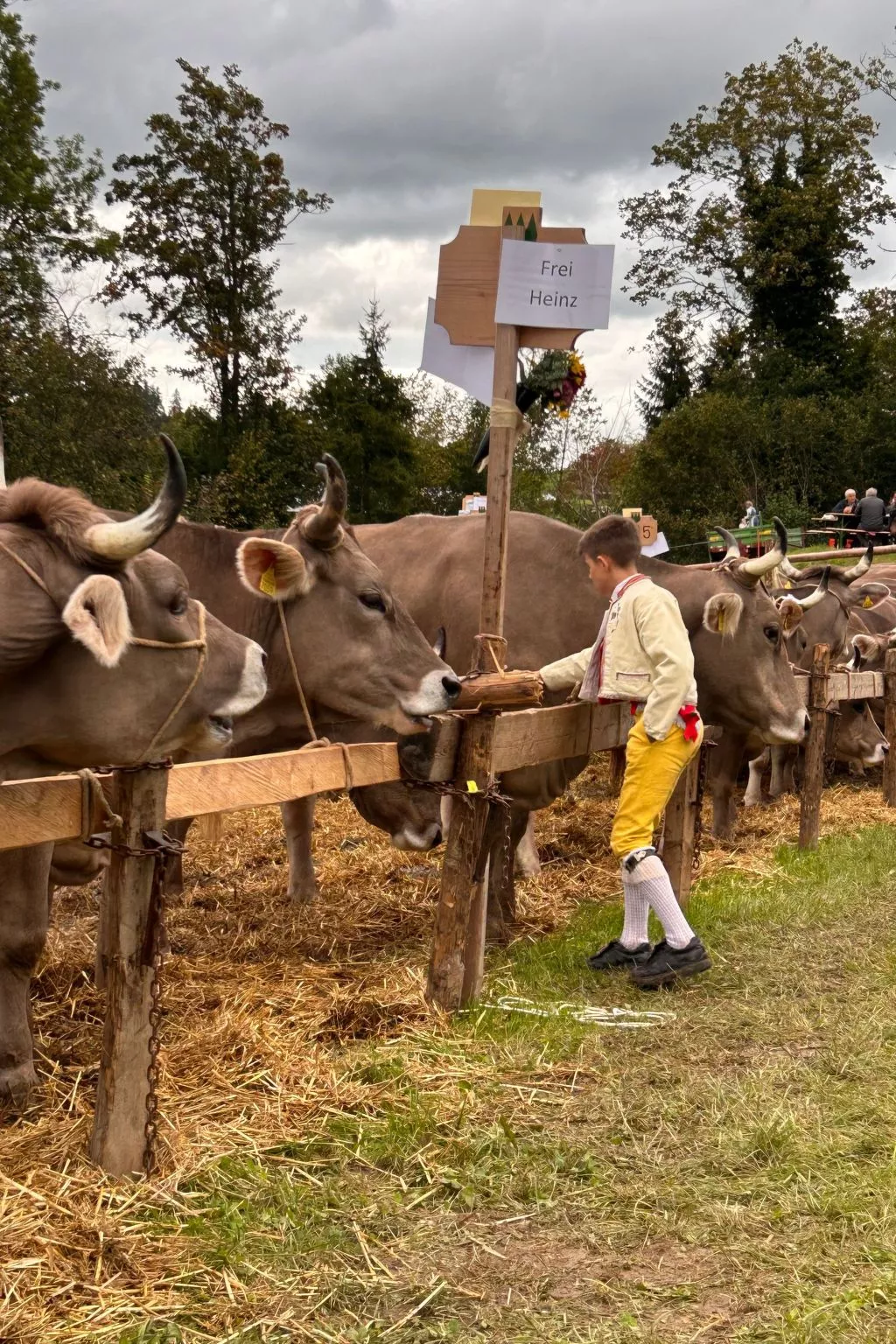 Sonnige Maisonette-Image-tags.info