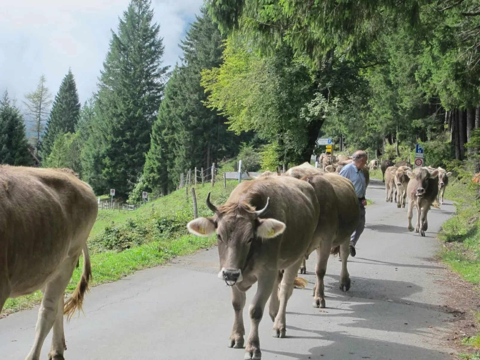 Perfekt-Image-tags.info