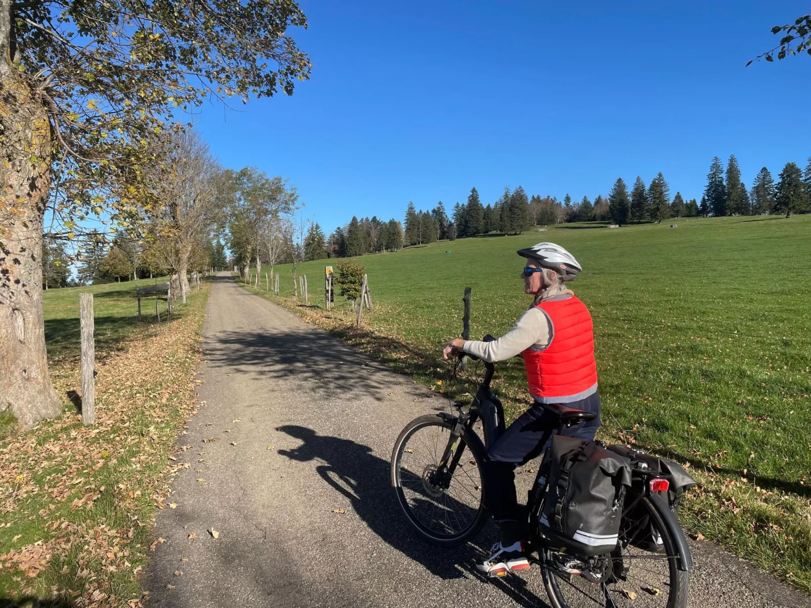 Chalet Désir, Lajoux-Buiten