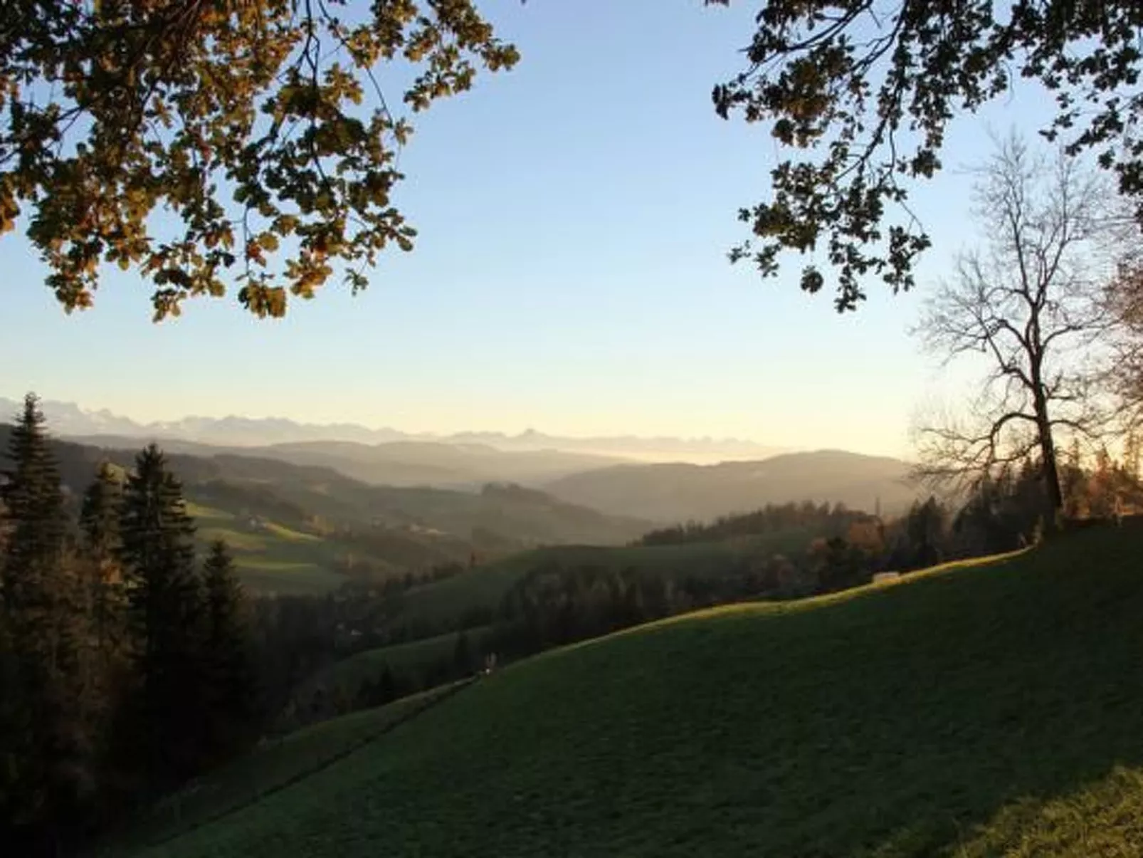 Bauern-Spycher-Buiten