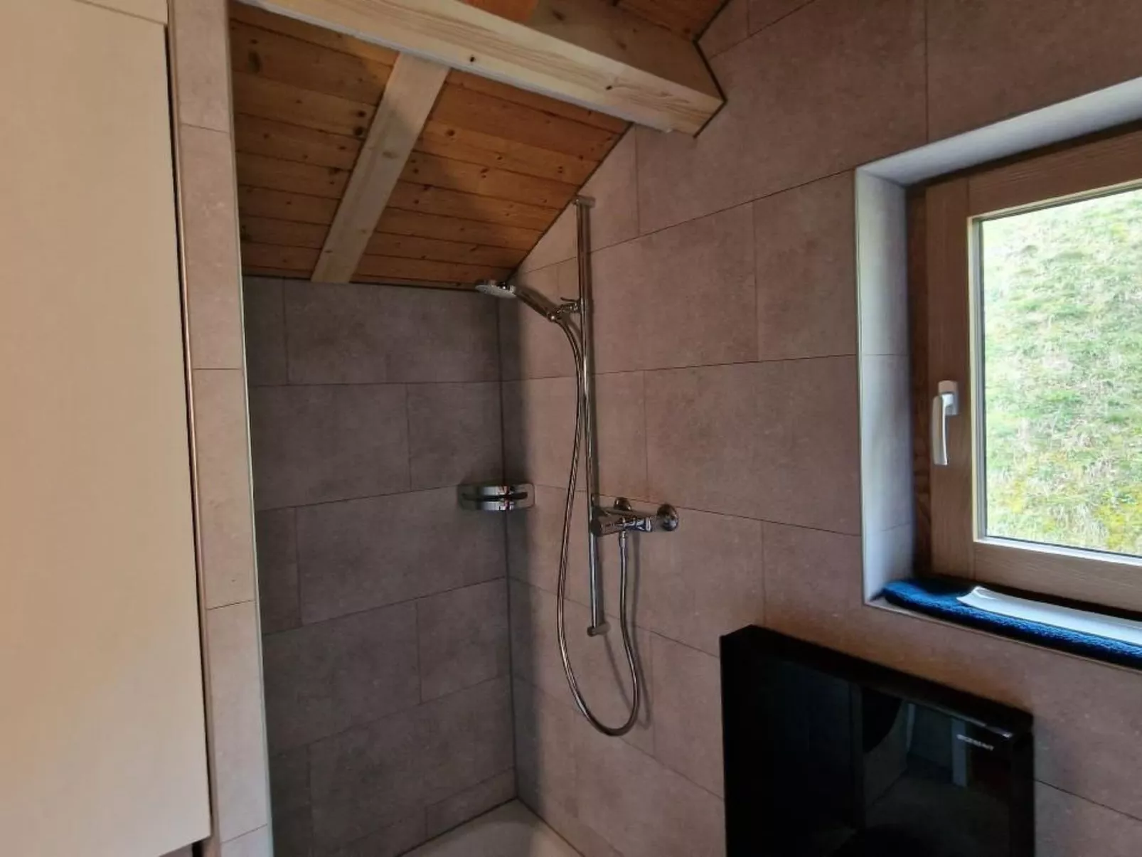 Chalet Traumfleck-Binnen