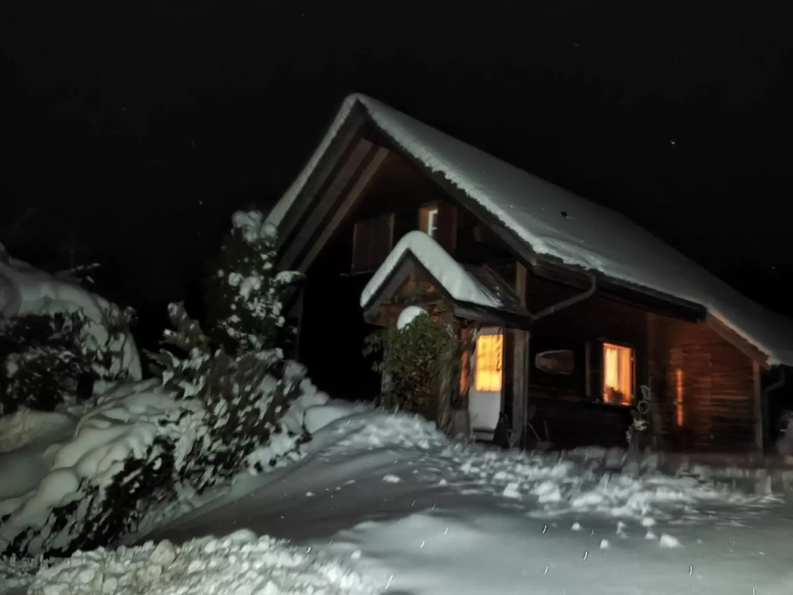 Domo-Image-tags.info