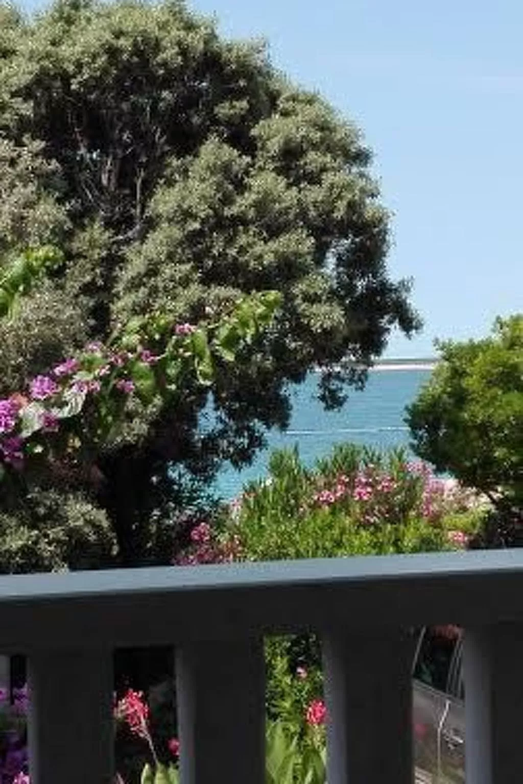 Gemütliche Ferienwohnung für drei Personen - Buiten