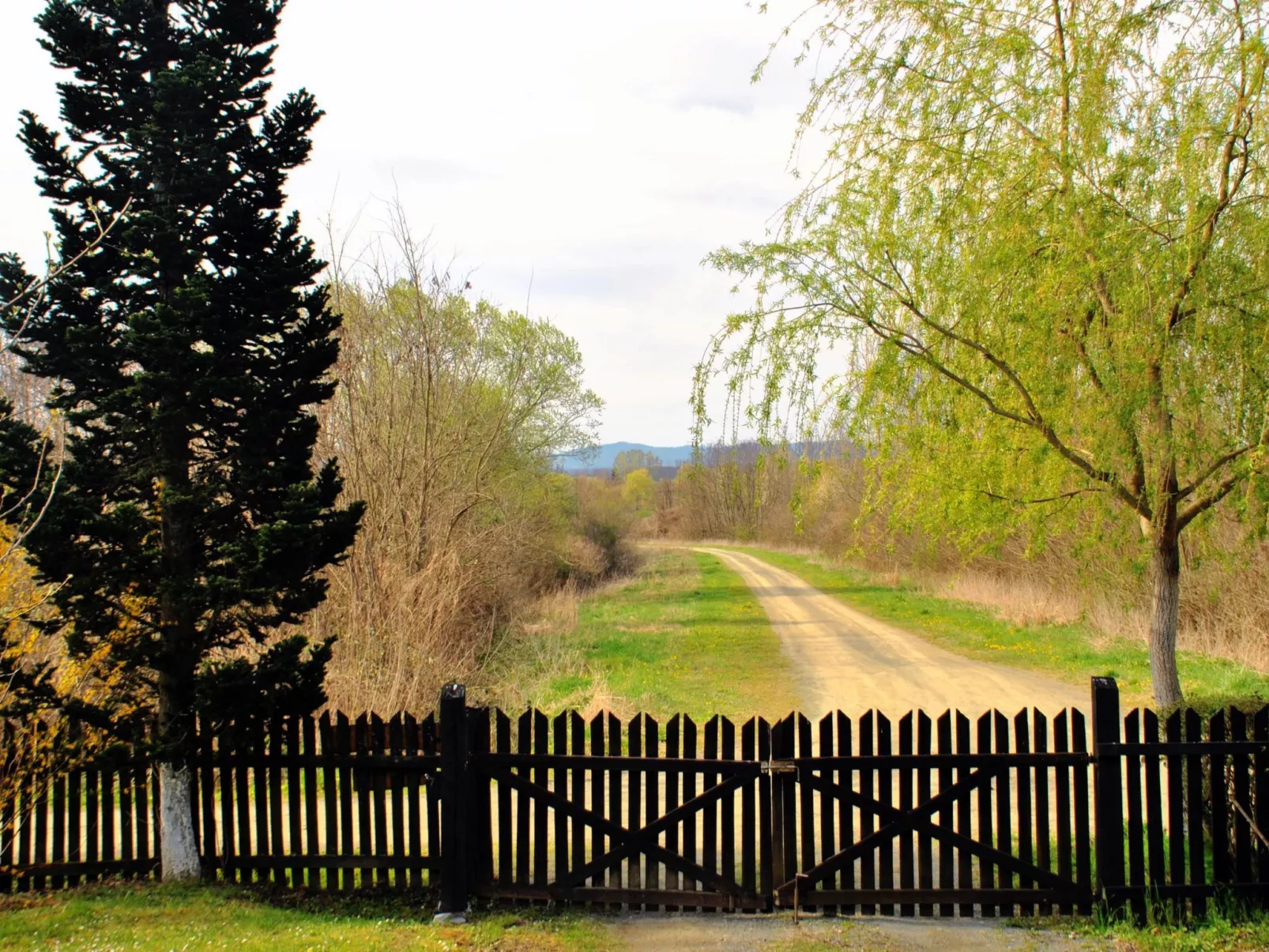 Hütte mit Garten, Grill und Terrasse-Buiten