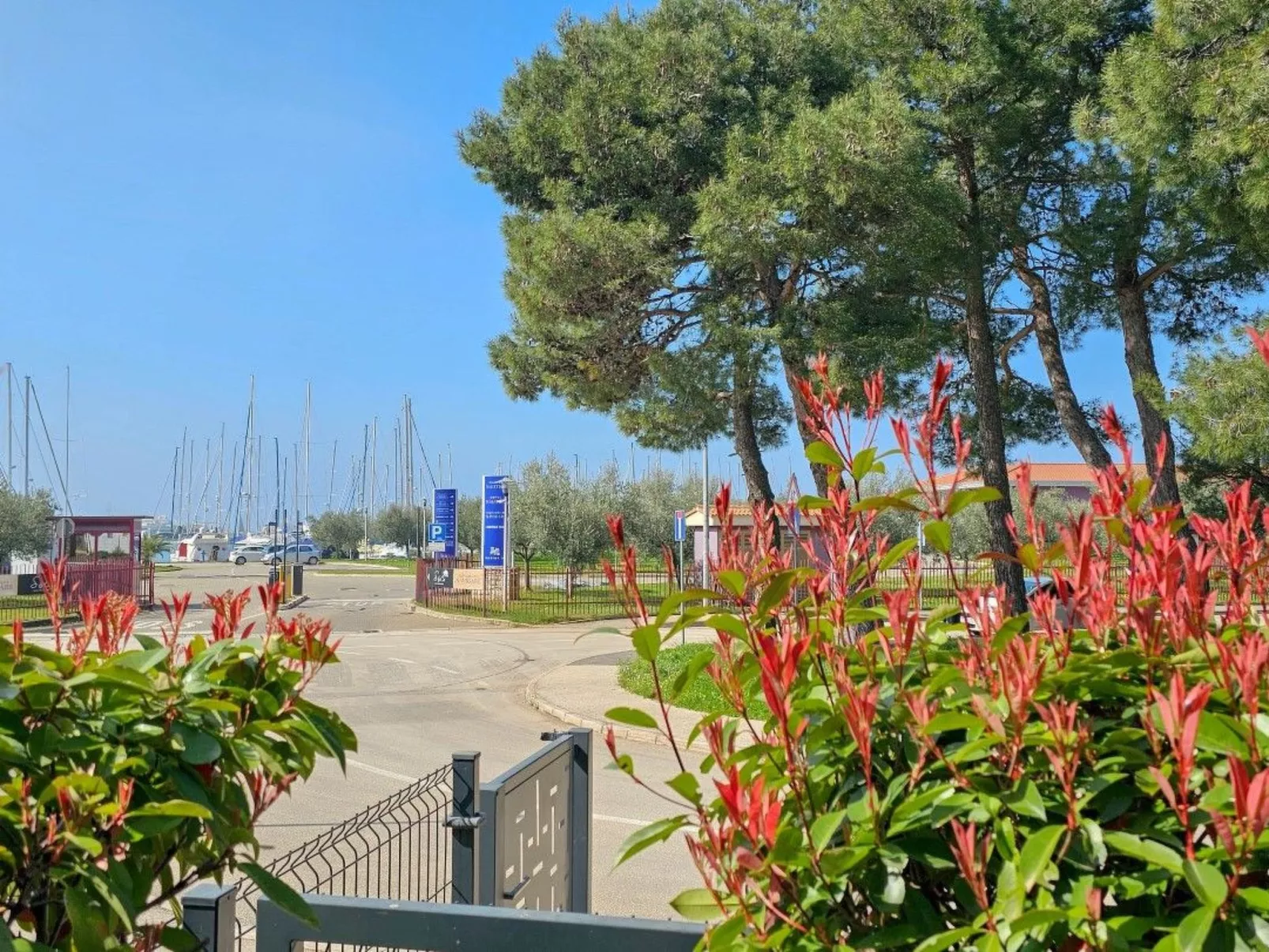 Apartment mit Terrasse für 3 Personen-Buiten