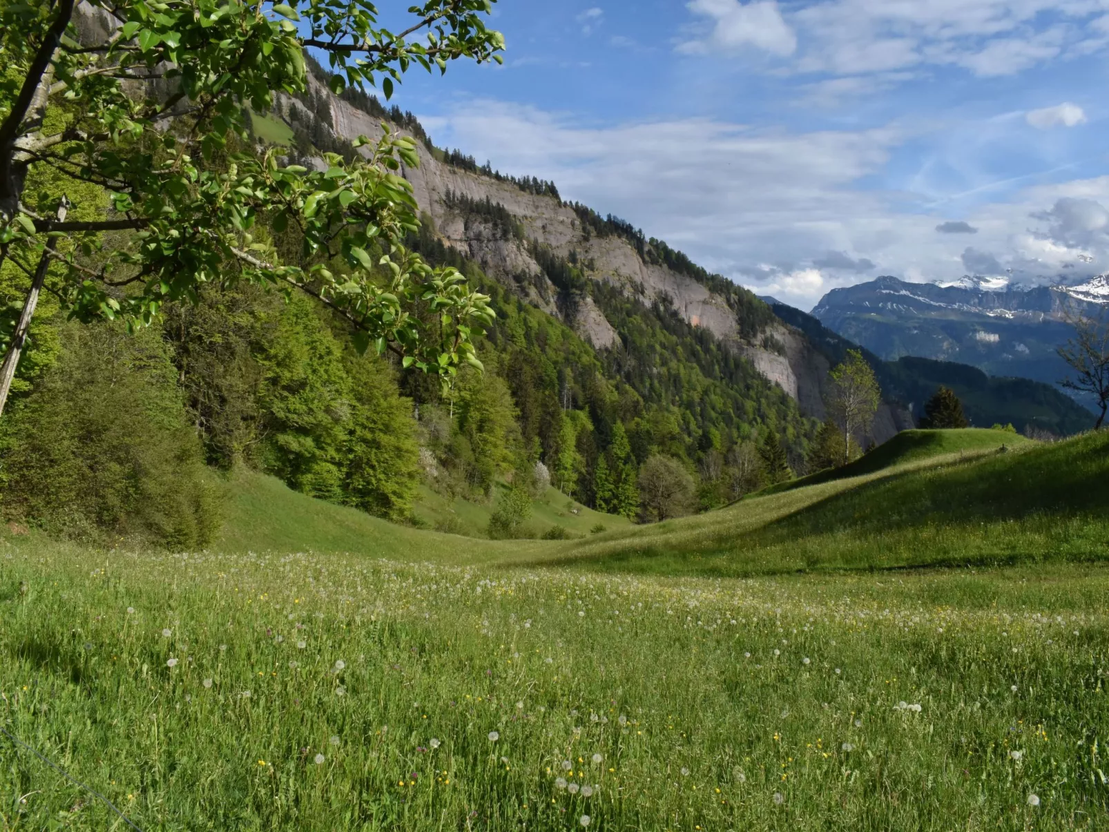 Mountain Nature Stay-Buiten