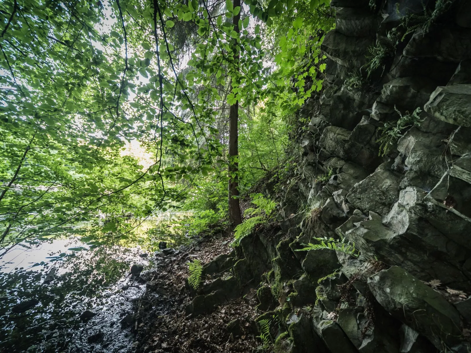 In Waldbreitbach mit Whirlpool - Buiten
