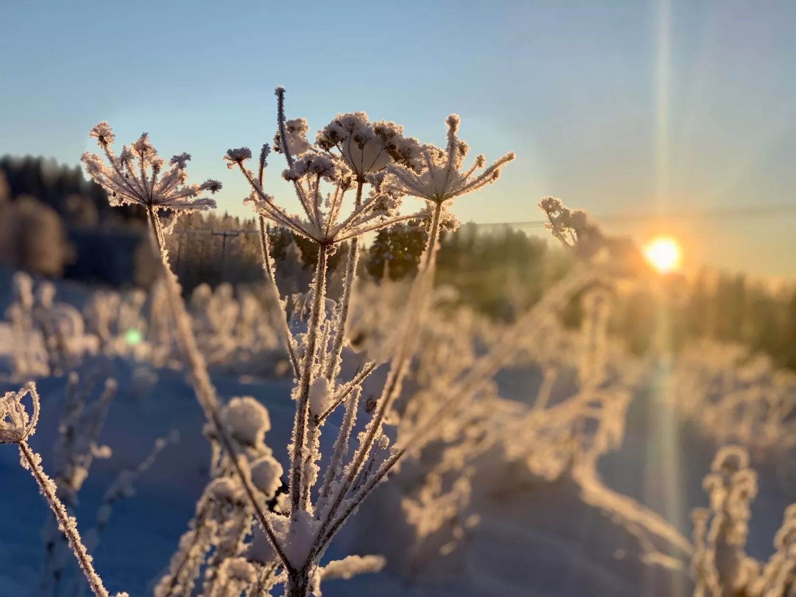 Ferienvilla mit Whirlpool-Buiten