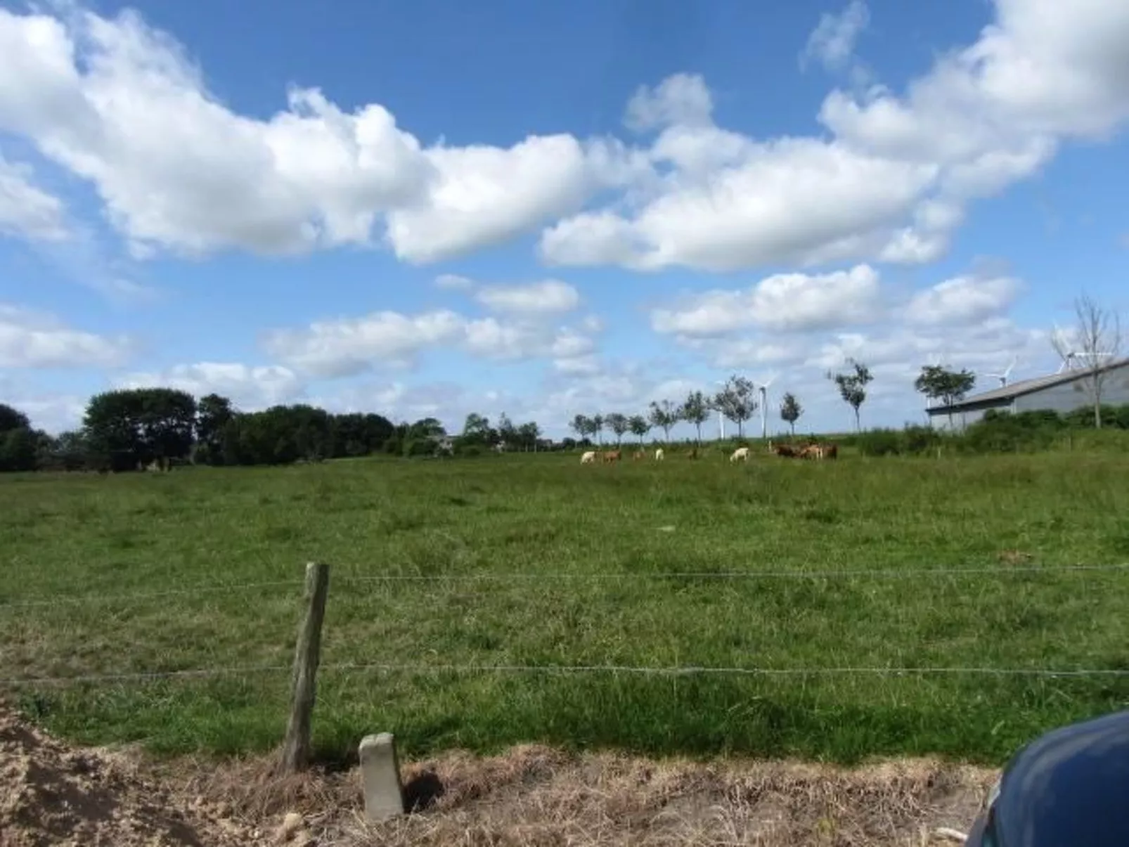 Sonnige Ferienwohnung in ländlicher Umgebung-Buiten