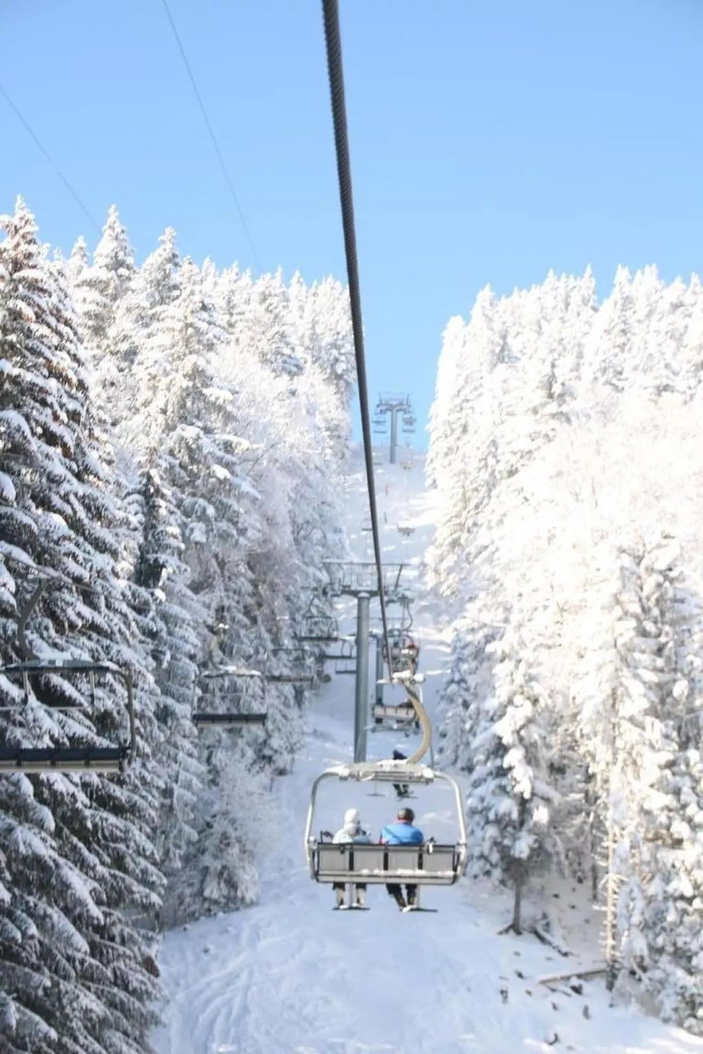 Les Narcisses,Blonay-Buiten