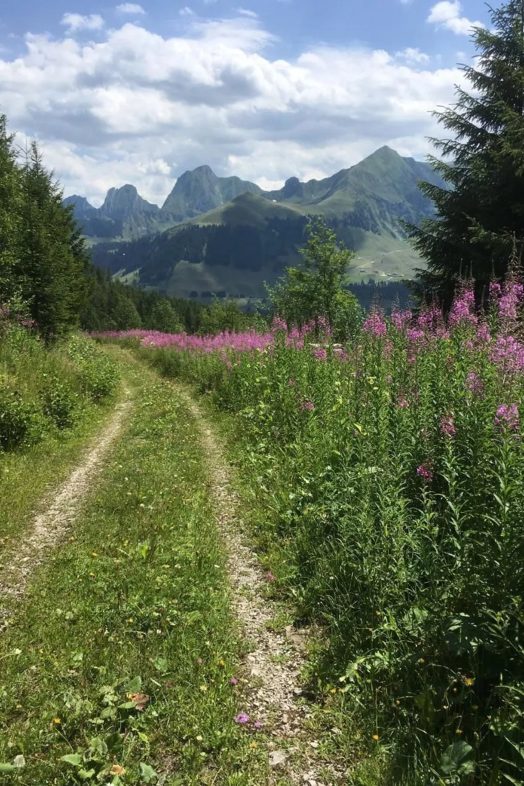Guggershörnliblick-Buiten