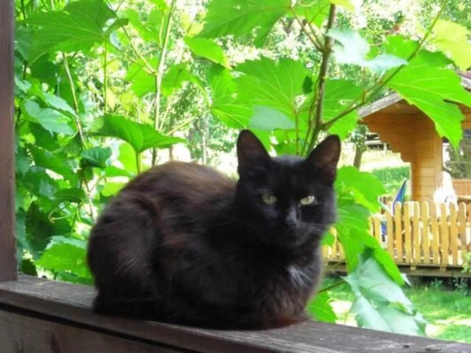 Wohnung "Himmelreich"-Buiten