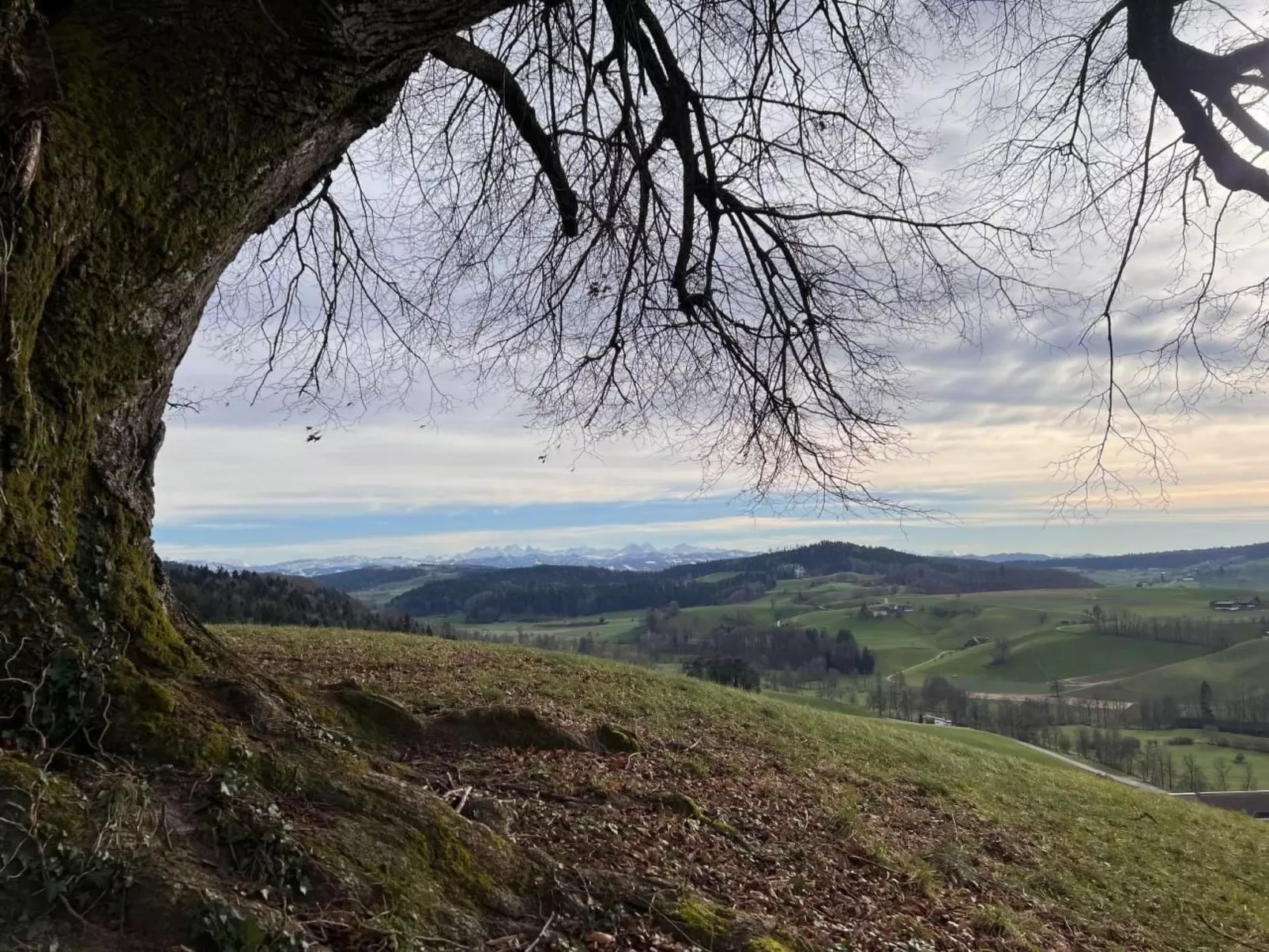 Berghof Erlebnis - Event-Location auf dem Land-Buiten