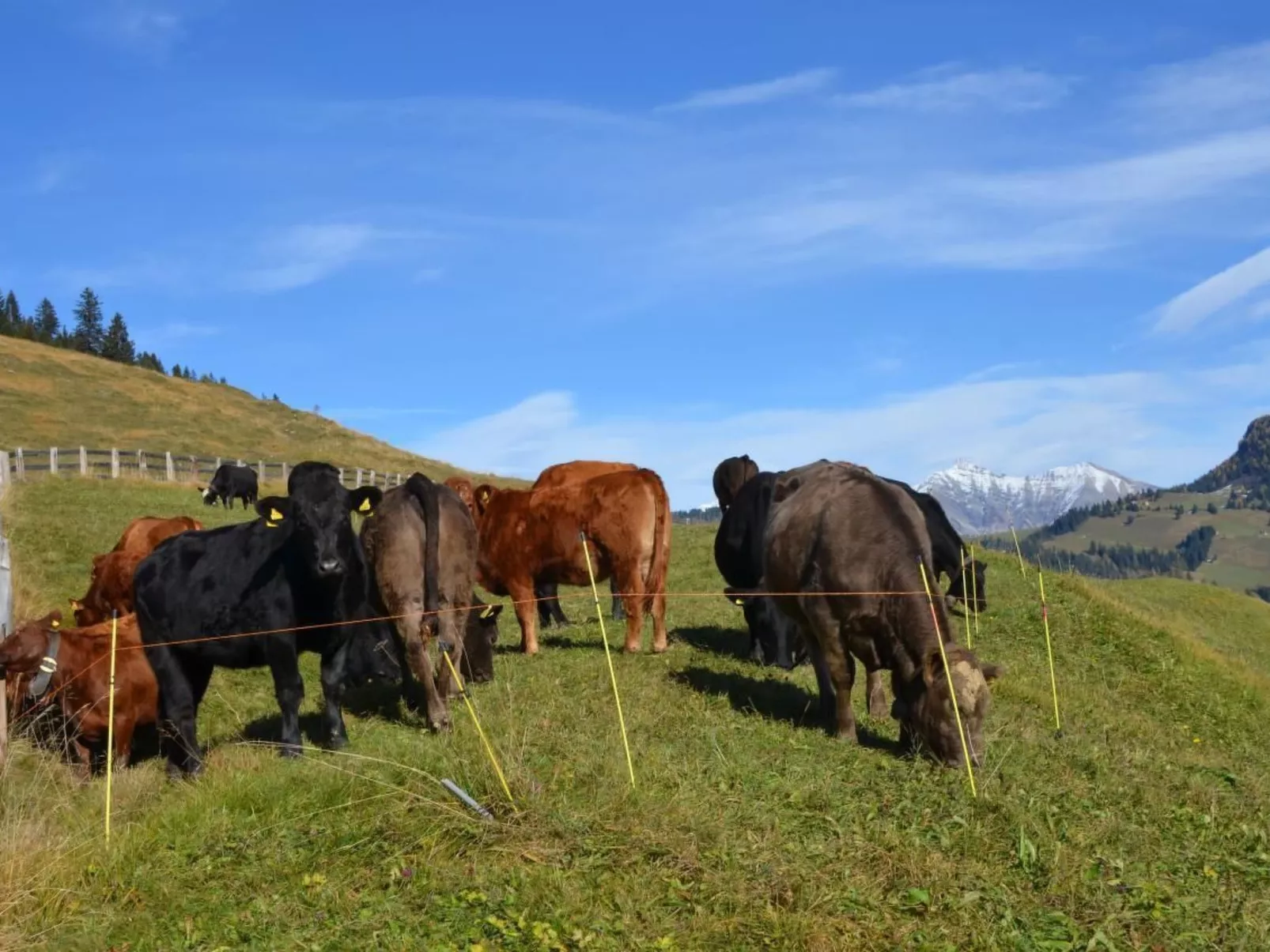 Biohof Furn-Image-tags.info