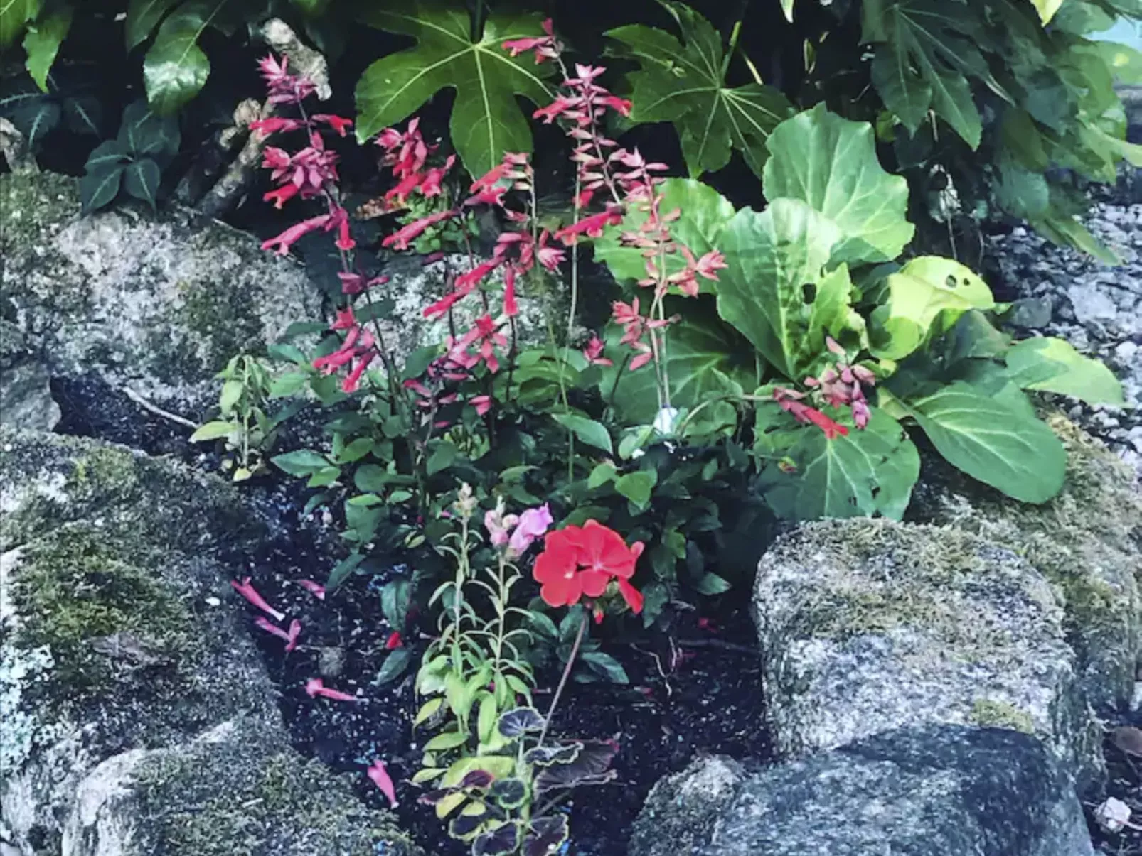 Idyllisches Landhaus mit wunderschönem Garten-Buiten