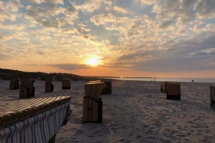 Doppelhaushälfte Lee in Zingst-Gebieden zomer 20km