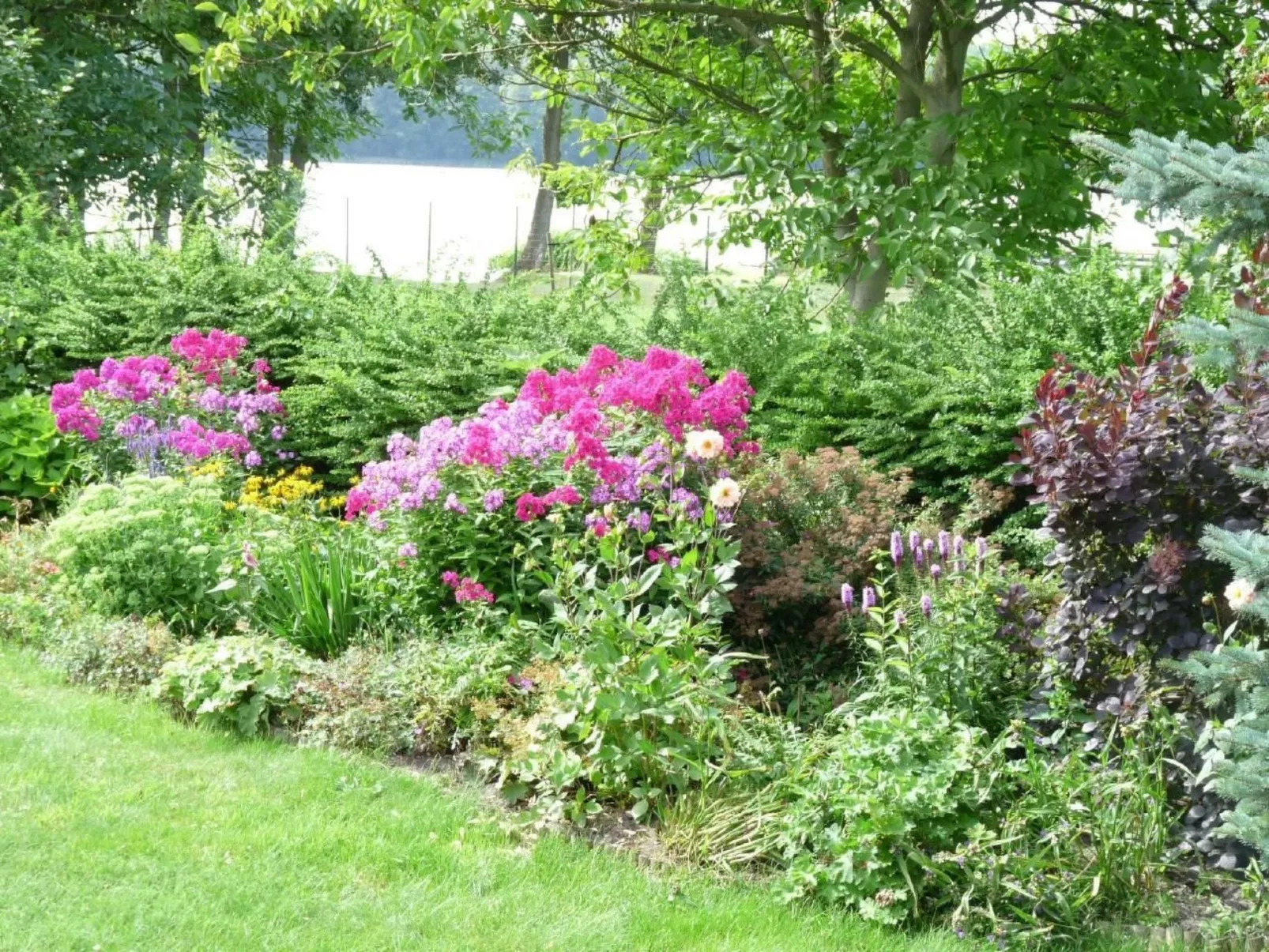 Glücksurlaub am See-Buiten