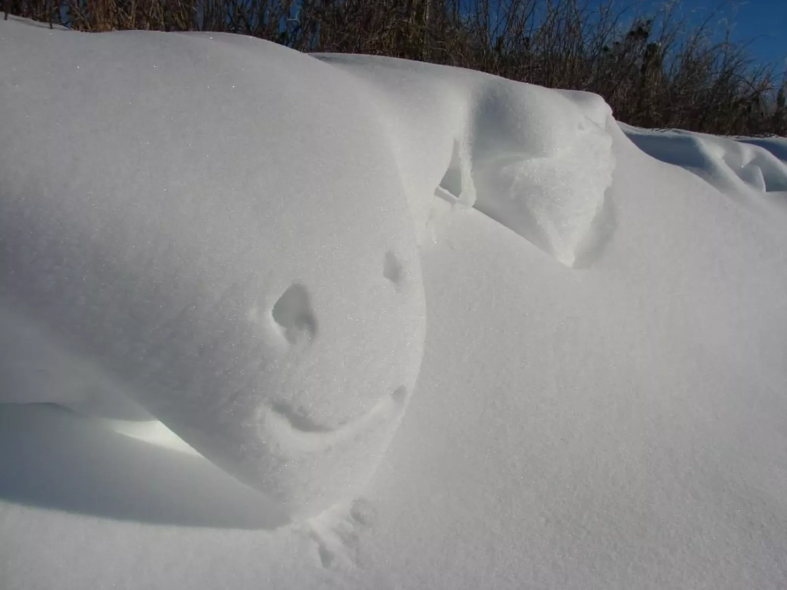 Snowview Lodge-Buiten