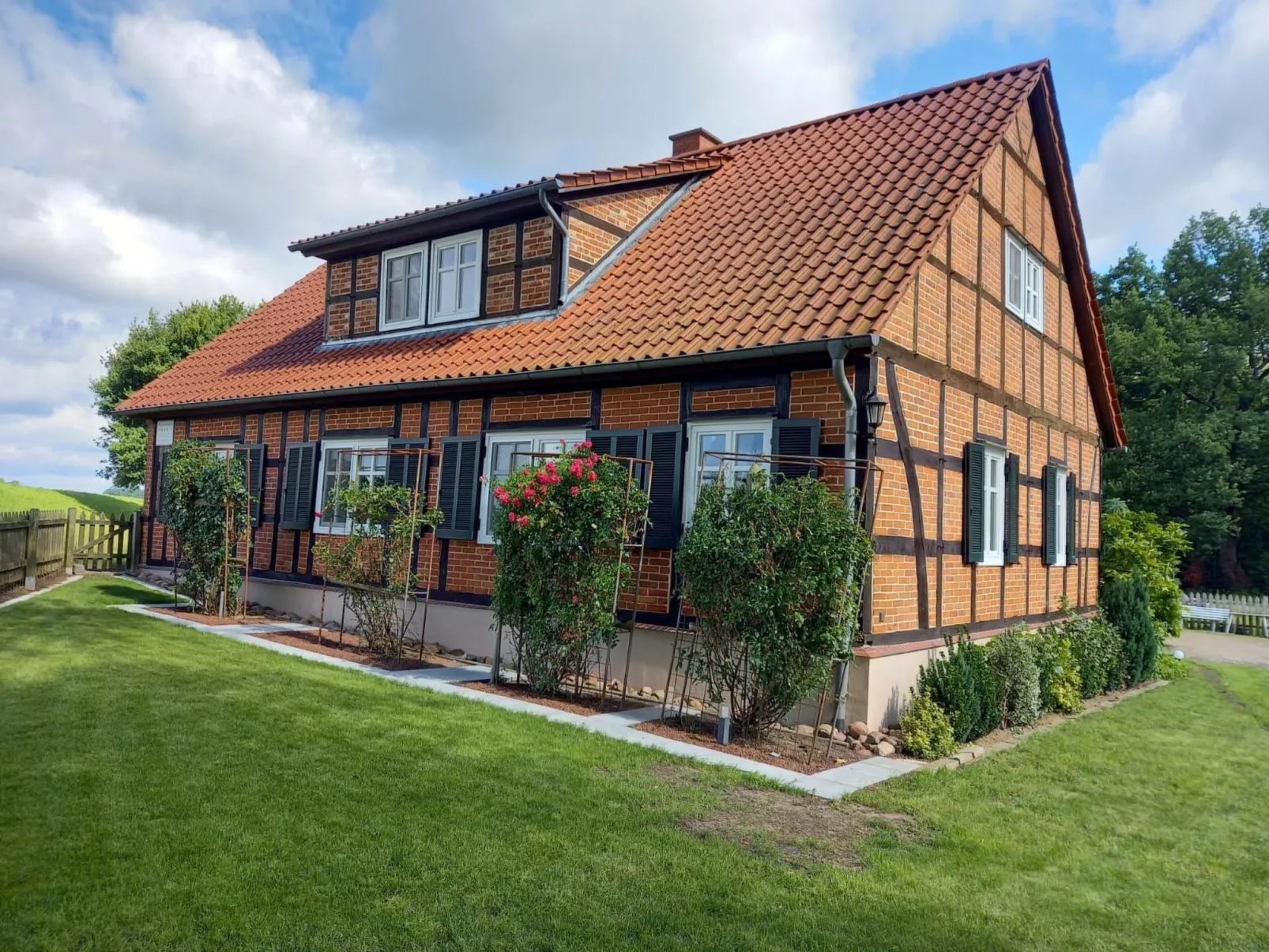 Haus Elbrose inmitten von Rosen mit Elbdeichzugang-Buiten