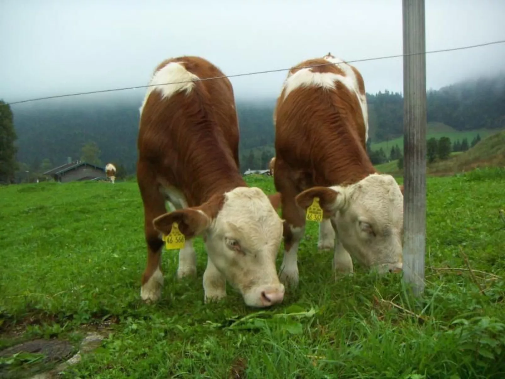 Haus Hinterseer-Buiten