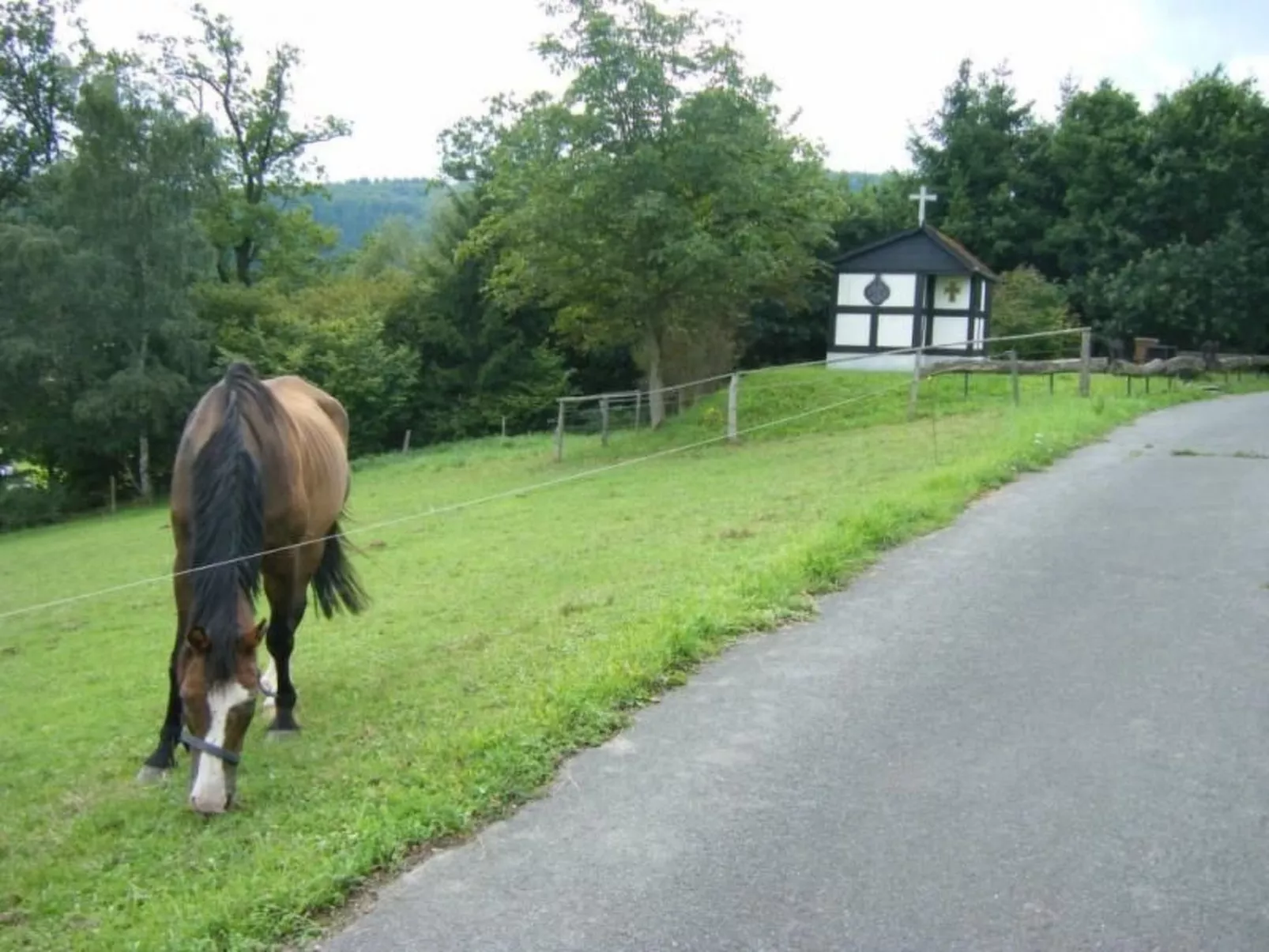 Rübezahl am Diemelse-Buiten