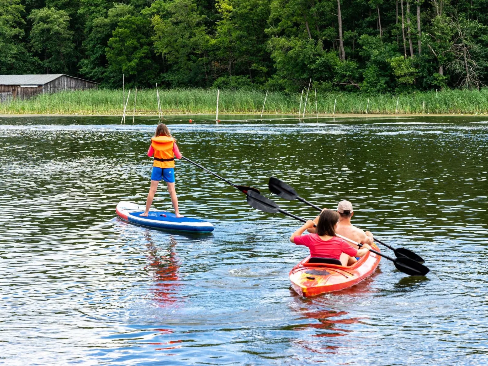 Abendsonne-Image-tags.info