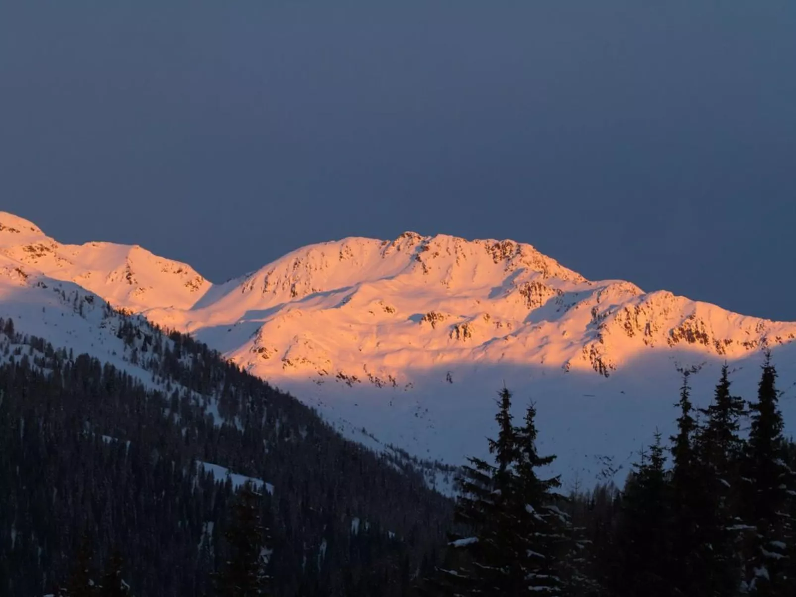 Almhütte Enzian-Buiten