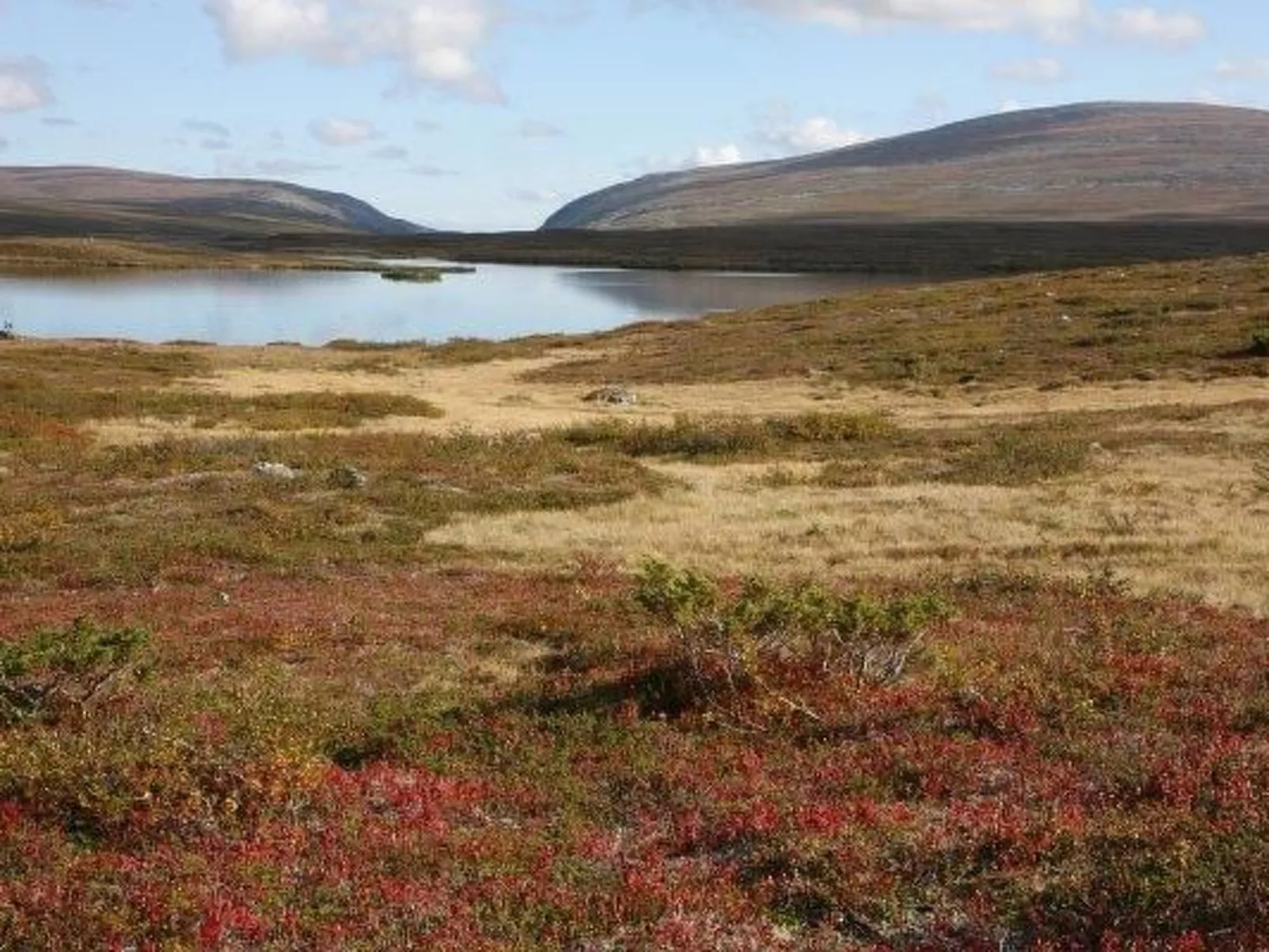 Charmantes Blockhaus, Sauna und Kamin-Buiten