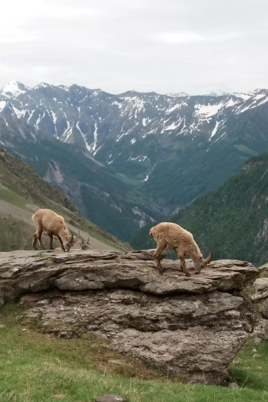 Urlaub in den Bergen-Buiten