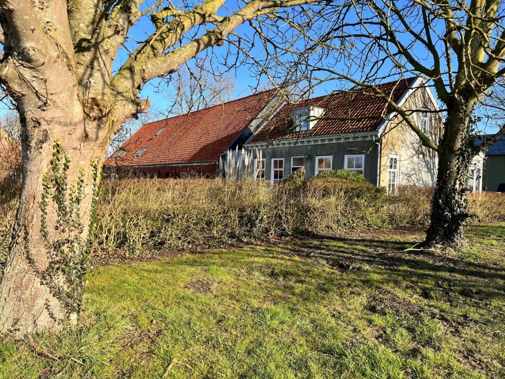 Luxus-App in der Scheune "Strandje groote Nol"-Buiten