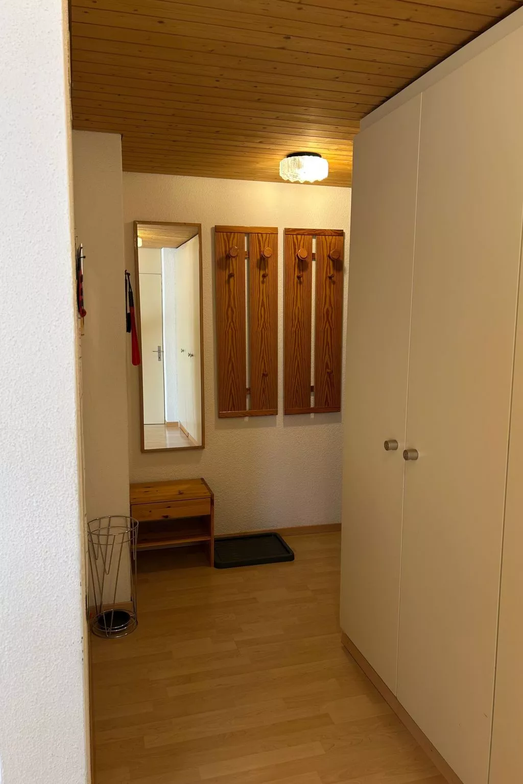 Wohnung Hirschi-Binnen