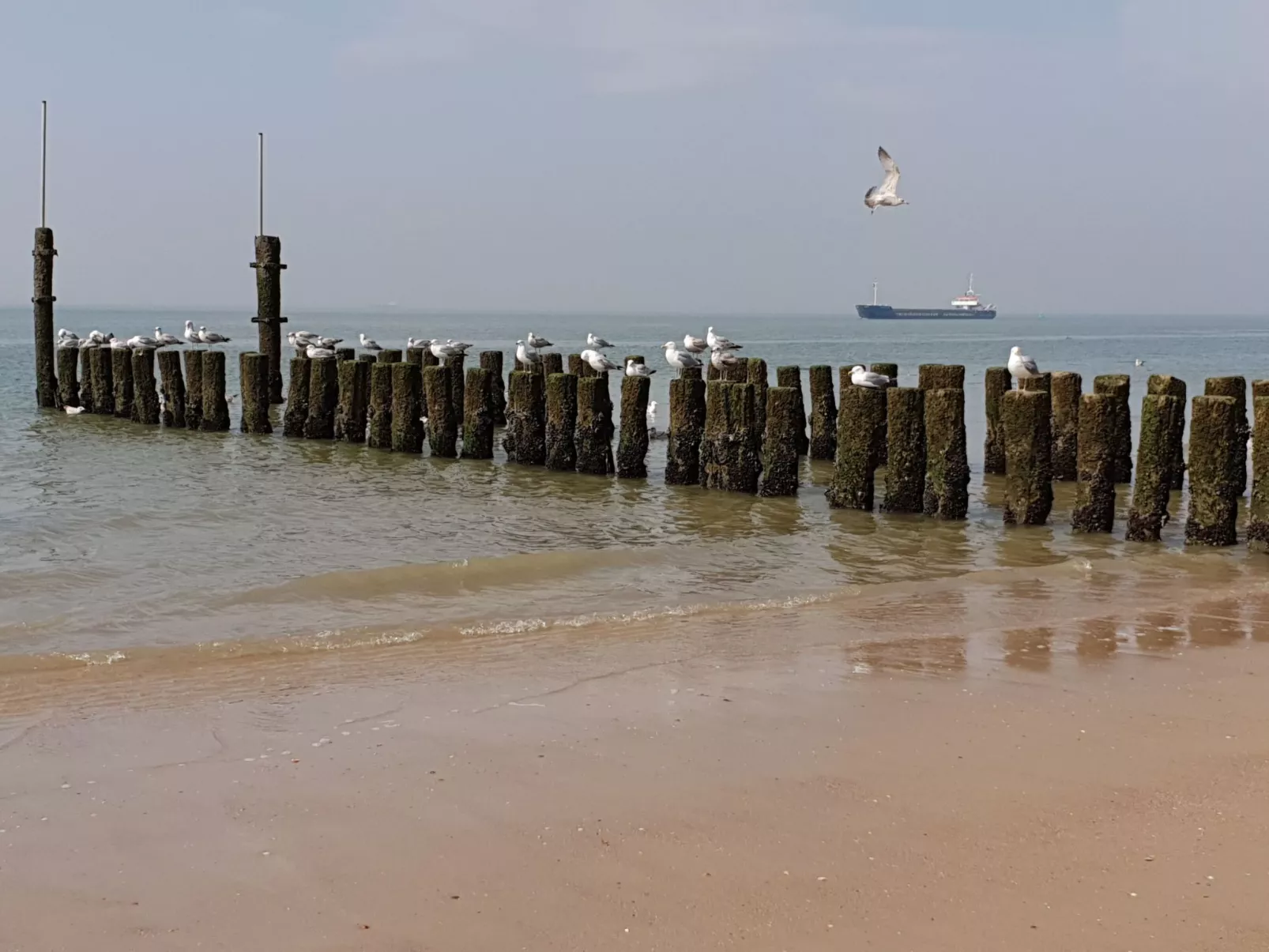 Havenzicht National Monument-Image-tags.info