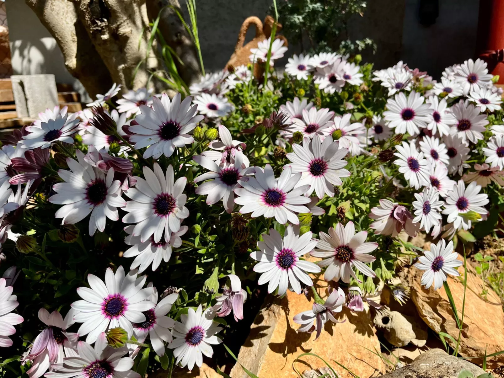 Neu erbautes Apartment mit großem Balkon-Buiten