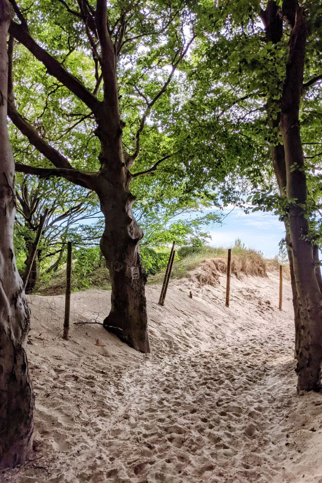 Sunset Resort, Wohnung in Grzybów-Buiten