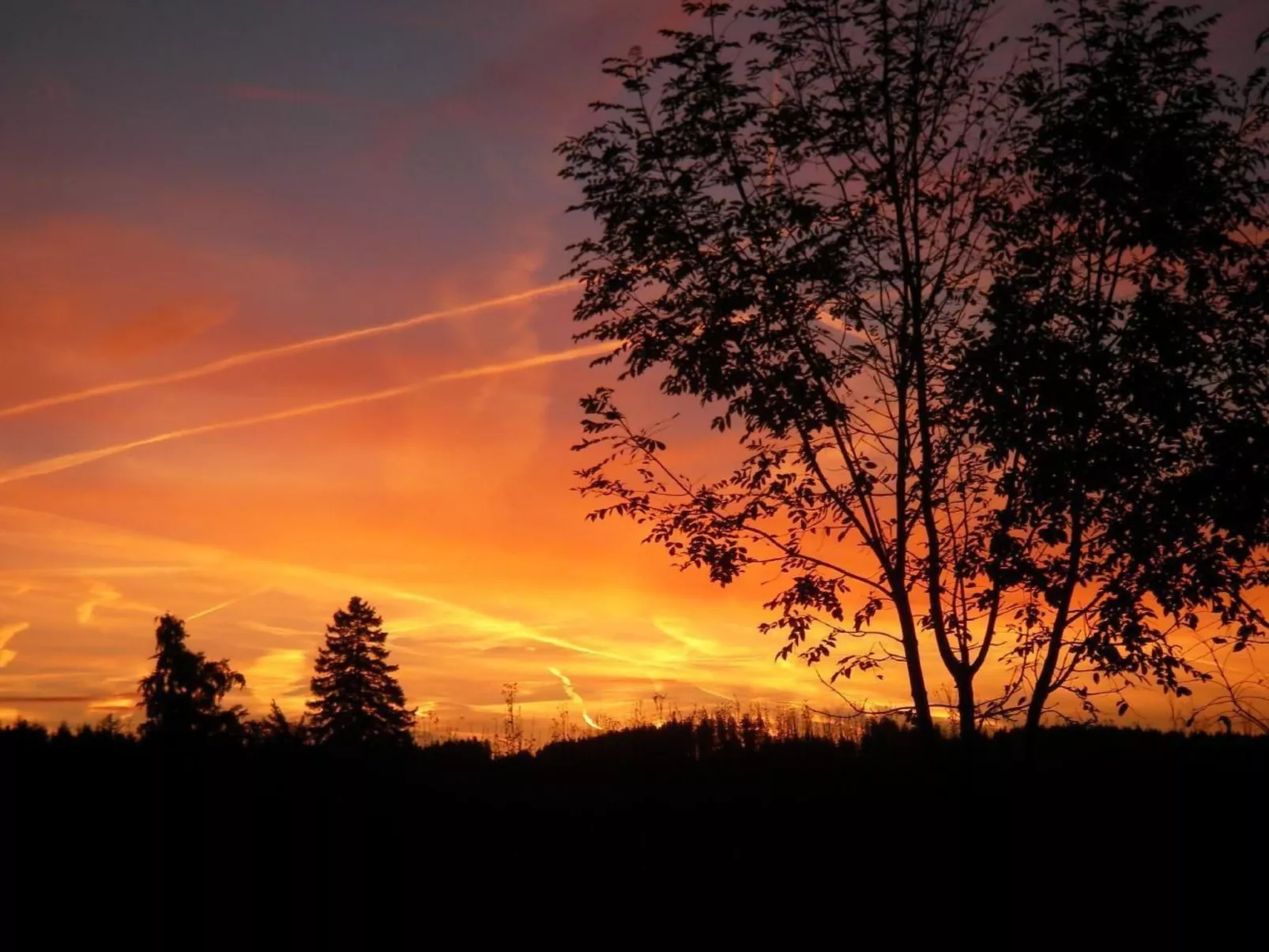 Appartement in Elbersreuth mit Garten-Buiten