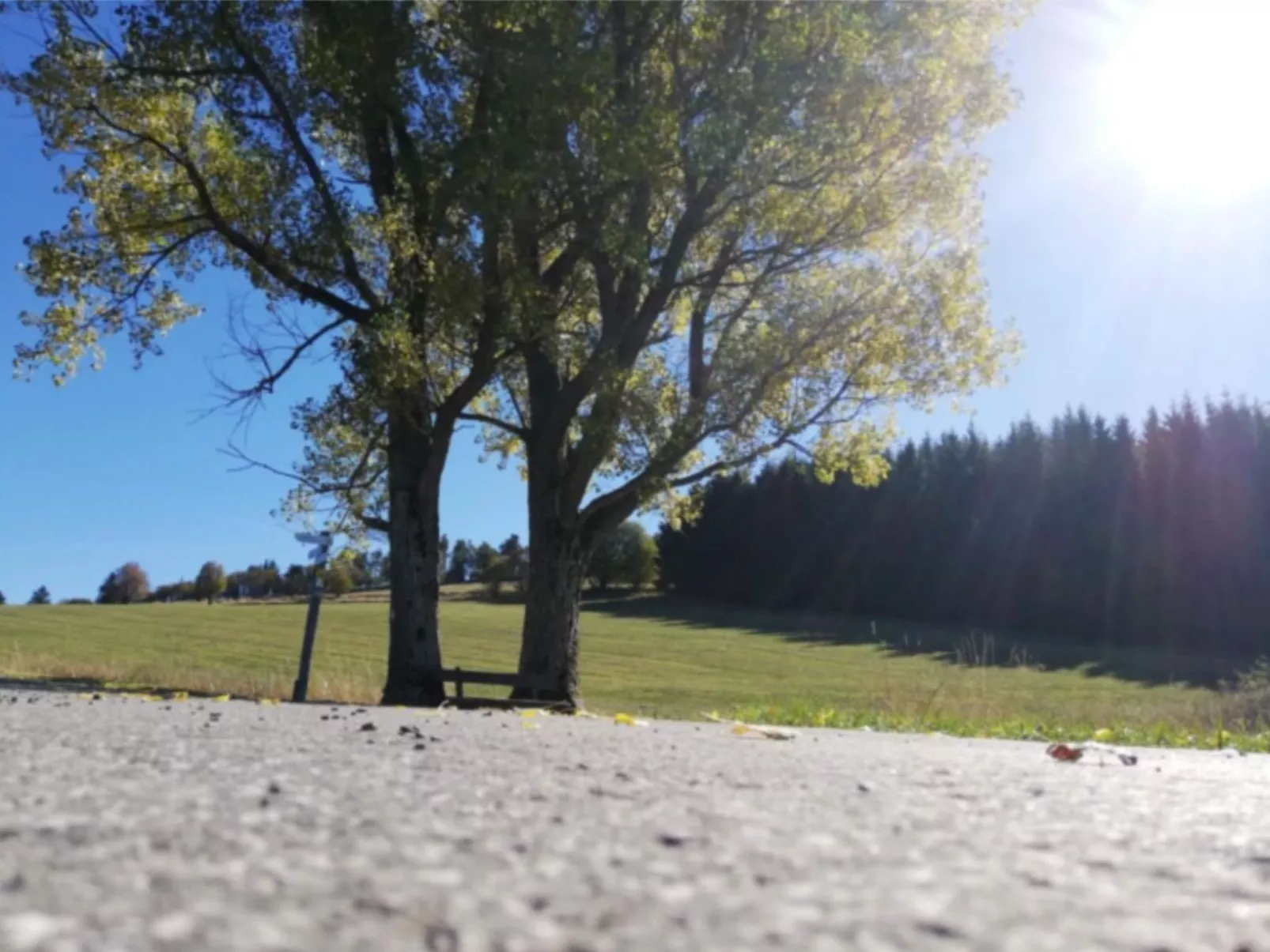 Haus Schnurbus - Buiten