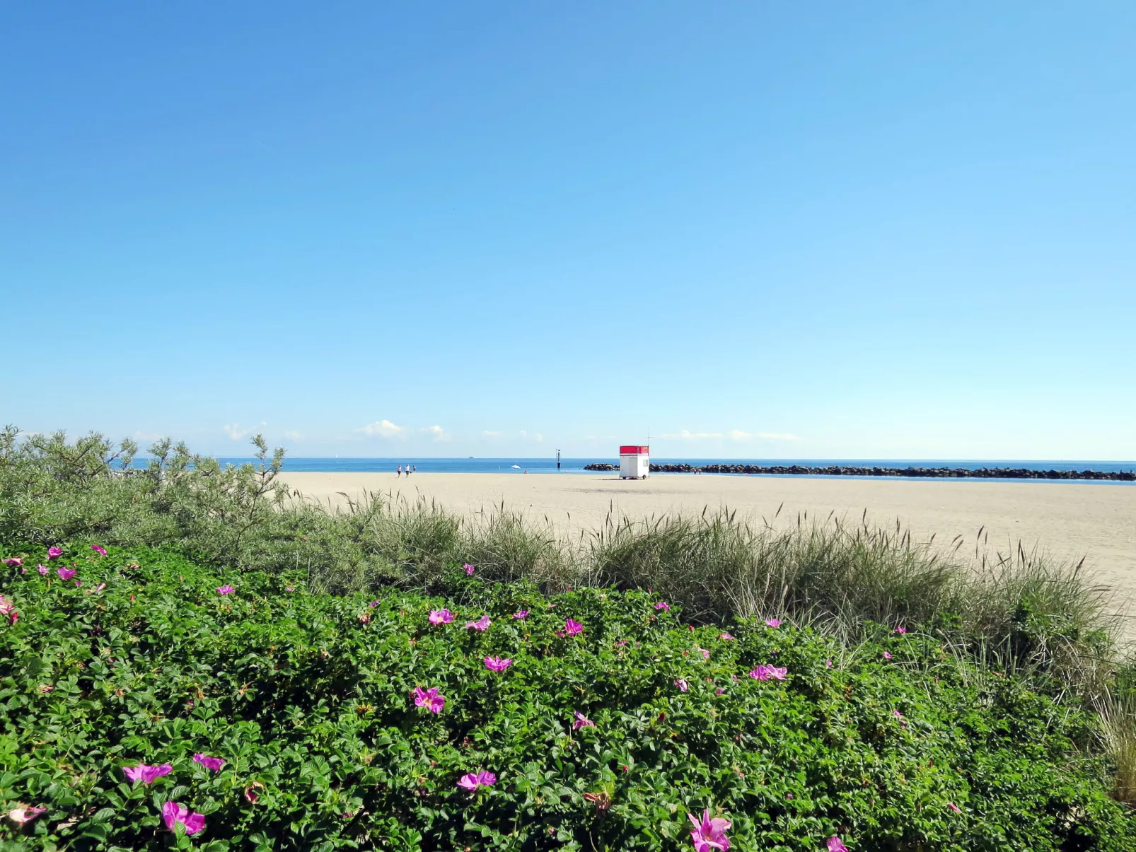 Mehr am Meer, Urlaub in einer schönen Wohnung-Omgeving