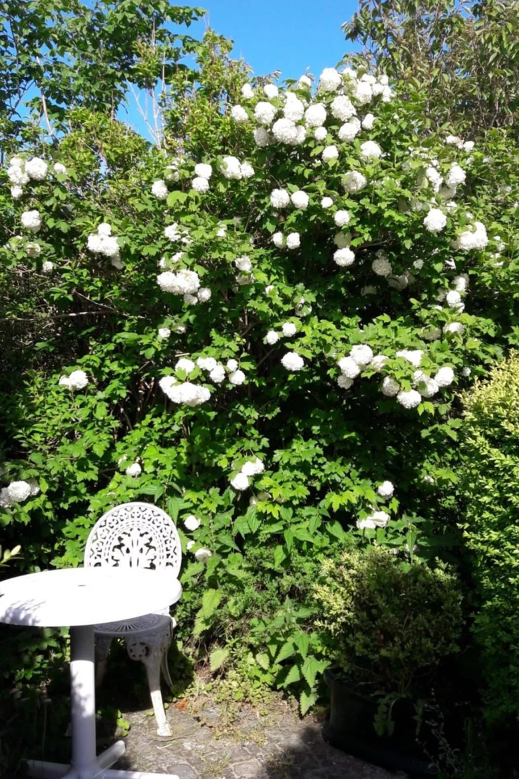 Fewo Meeresbrise-Image-tags.info