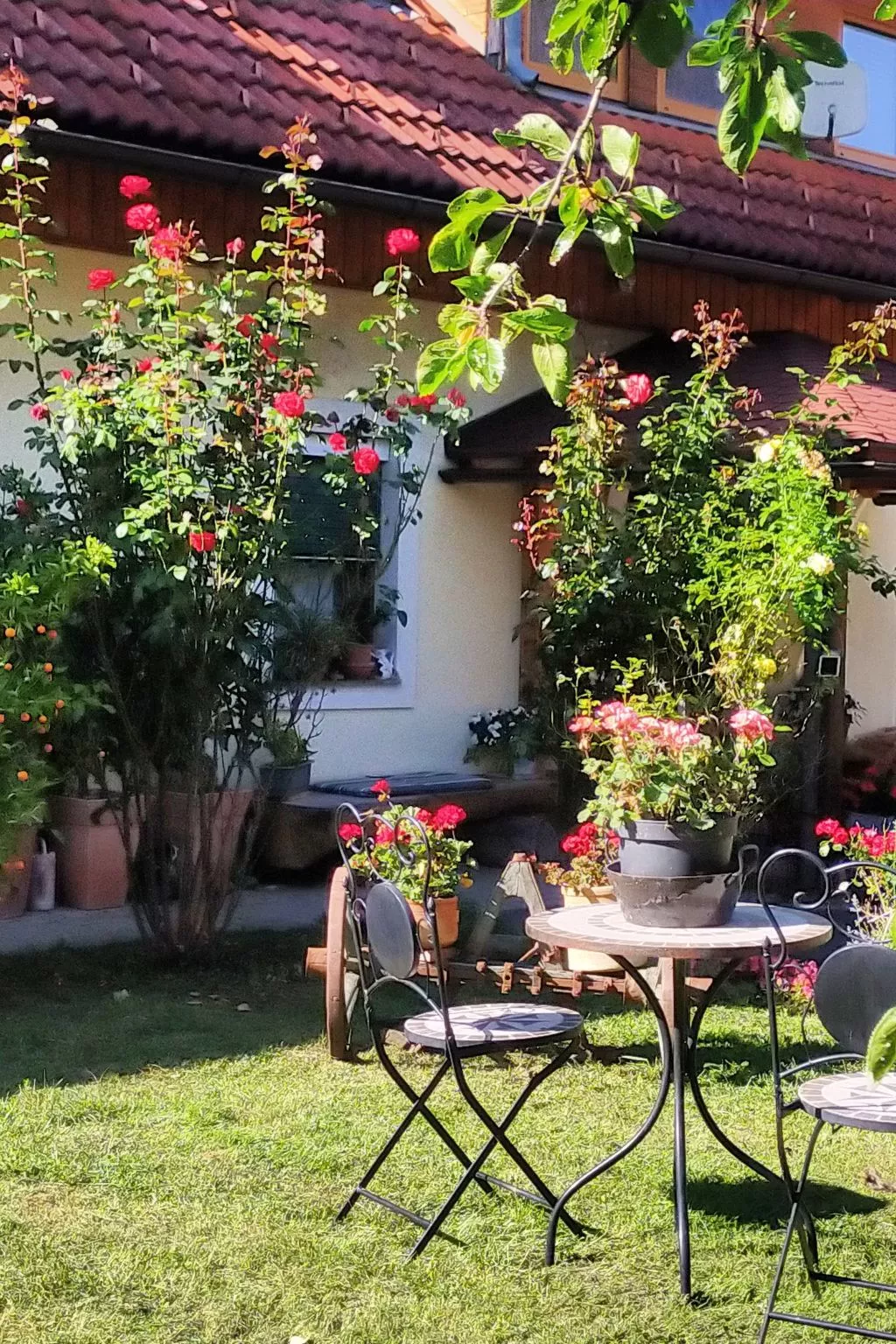 Idyllische Panorama-Südwohnung in Wörtherseenähe-Buiten