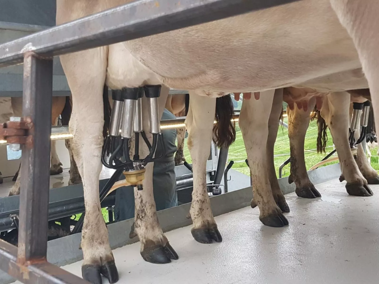 Ferien im Gugger - Wohnung Churfirsten-Image-tags.info