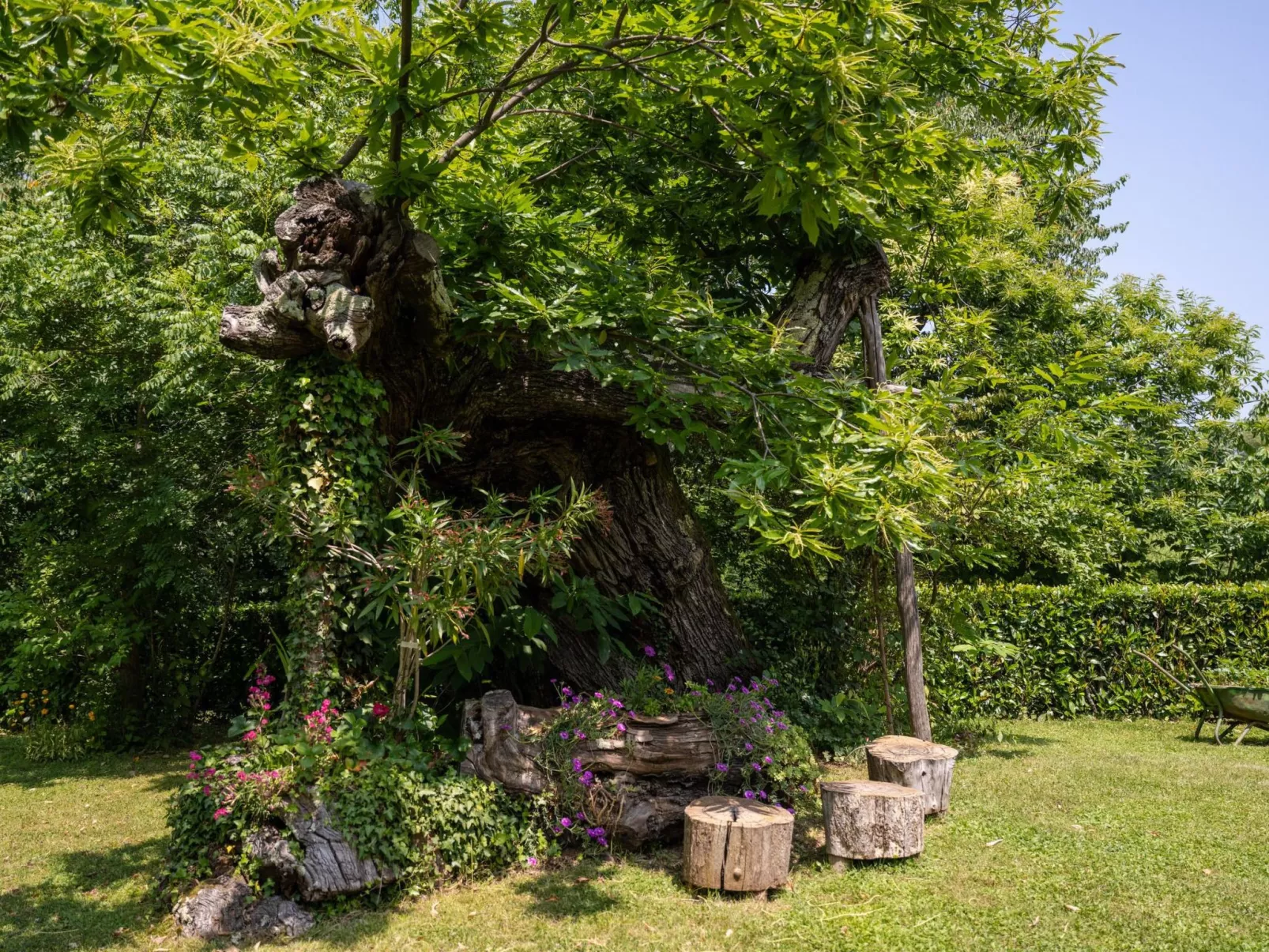 Gemütliches Ferienhaus in Ružići mit Offenem Kamin-Buiten