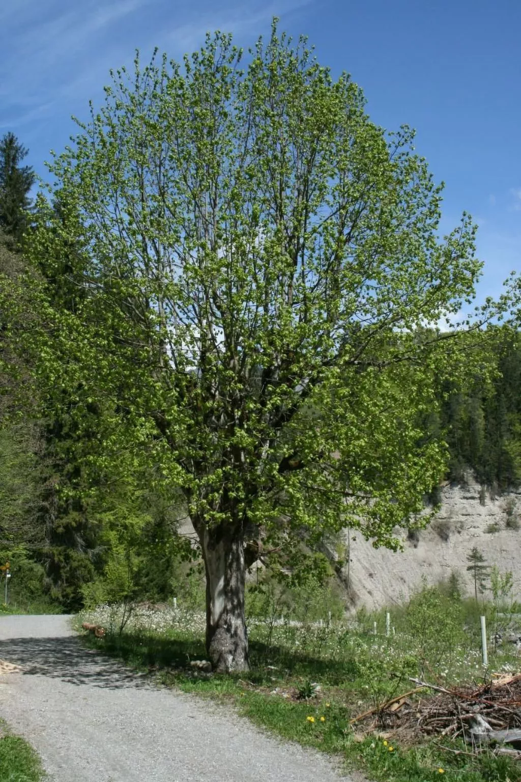 Fewo mit Herz-Buiten