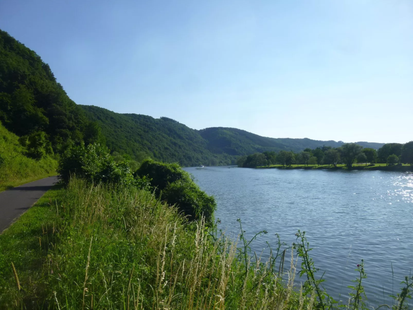 Moselschiefer-Traumferienwohnung am Moselufer-Buiten
