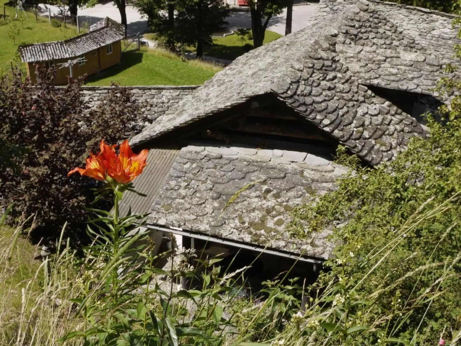 Casa Lina-Image-tags.info