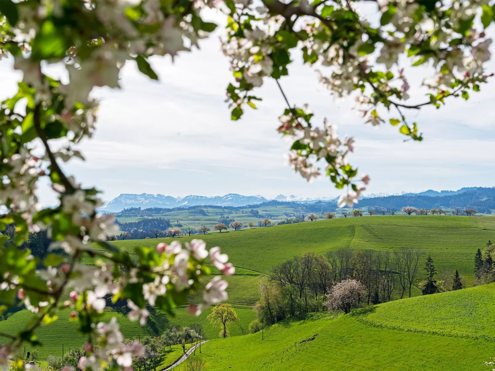 Eggenhof Ferien-Image-tags.info