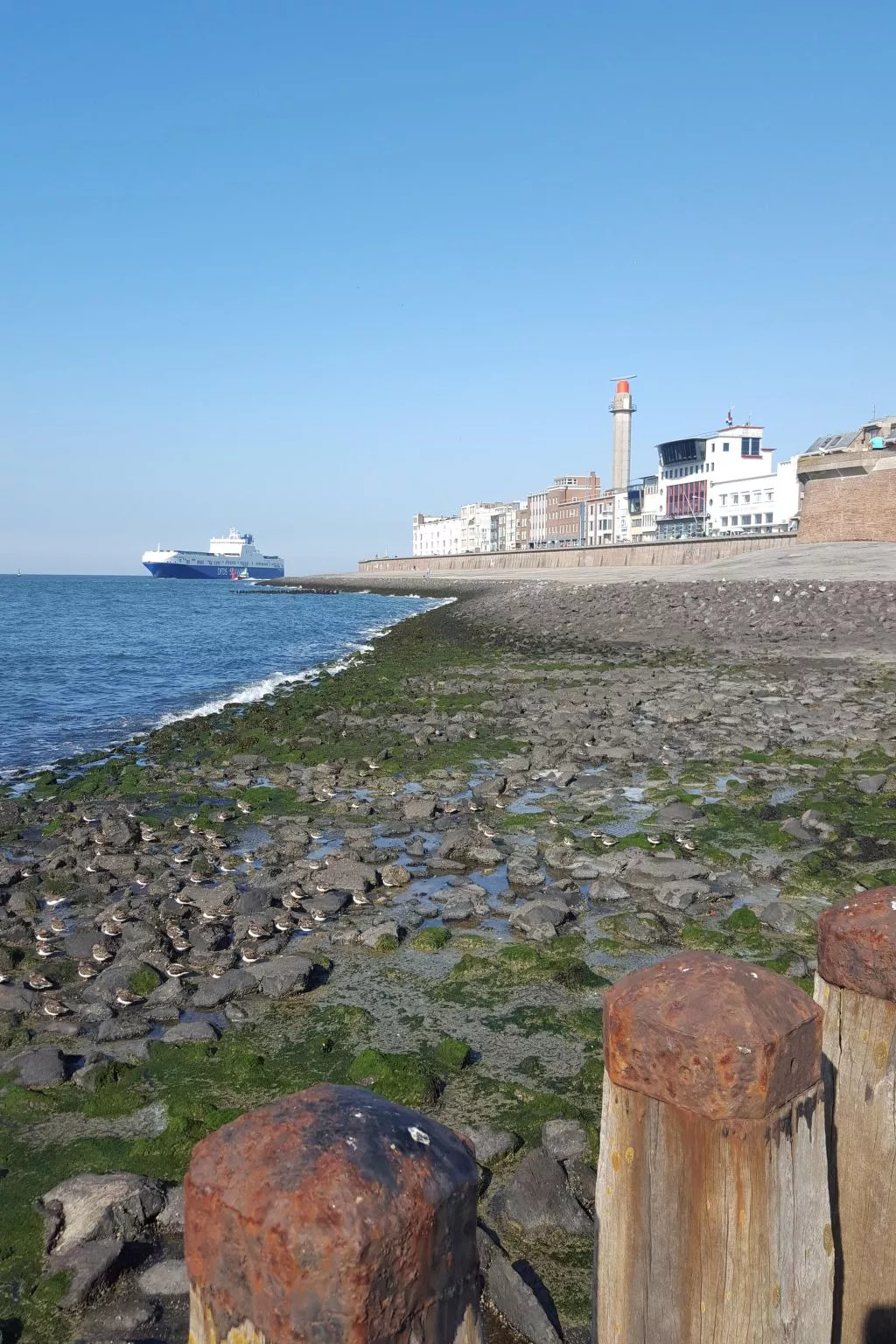 Studio-Wohnung 'Studio Zeezicht'-Image-tags.info