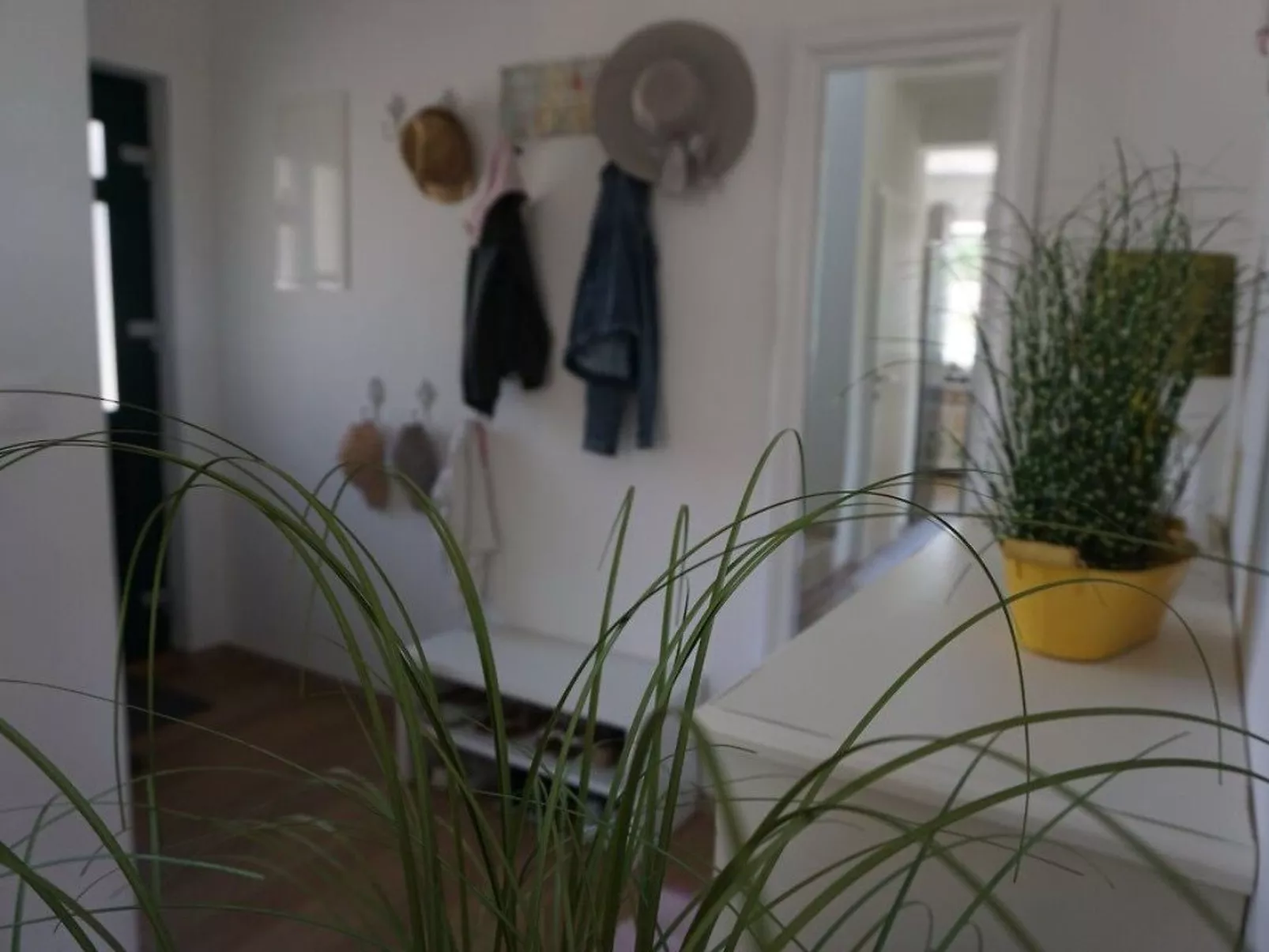 Neues Ferienhaus in Krnica mit Privatem Pool-Binnen