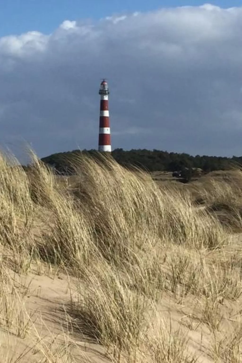 "Wad und Wal" mit Schwimmbad-Buiten